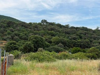 Terreno en venta en Candeleda