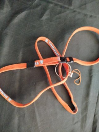 Lanyard tamagotchi usado original