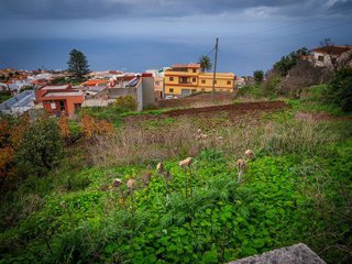 Terreno en venta en Matanza de Acentejo (La)