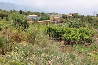 Terreno en venta en Matanza de Acentejo (La)