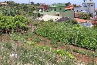 Terreno en venta en Matanza de Acentejo (La)