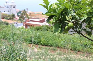Terreno en venta en Matanza de Acentejo (La)