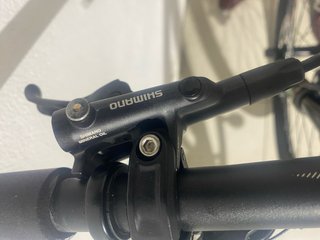 Orbea Oiz