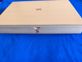 Pala Butterfly Timo Boll ZLF con Estuche Artesano