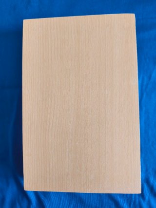 Pala Butterfly Timo Boll ZLF con Estuche Artesano