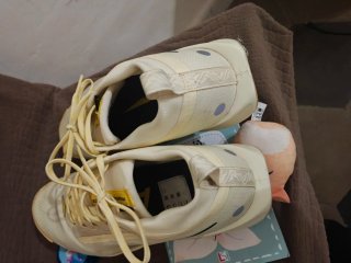Nike air Pegasus Trail 5 GTX