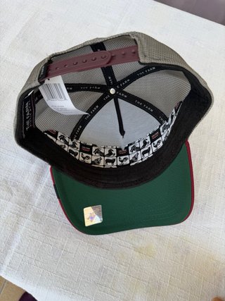 Gorra Goorin Bros Dinosaurio Extinto