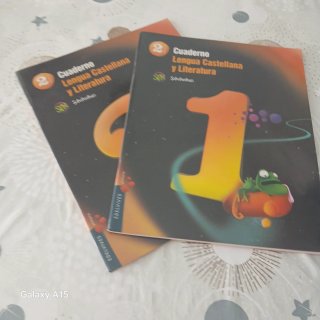 Lengua castellana y literatura 2 Primaria
