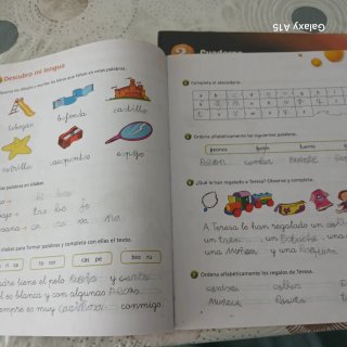 Lengua castellana y literatura 2 Primaria
