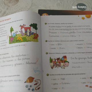 Lengua castellana y literatura 2 Primaria