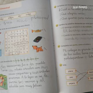 Lengua castellana y literatura 2 Primaria