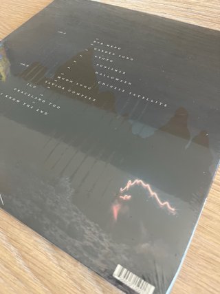 Phoebe Bridgers - Punisher (Vinilo)