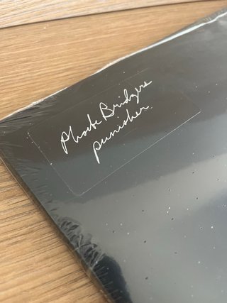 Phoebe Bridgers - Punisher (Vinilo)