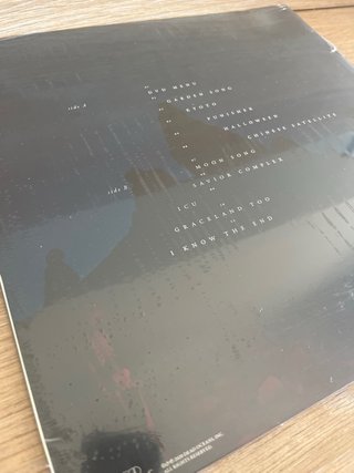 Phoebe Bridgers - Punisher (Vinilo)