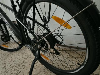 Bicicleta eléctrica con asistencia de pedaleo
