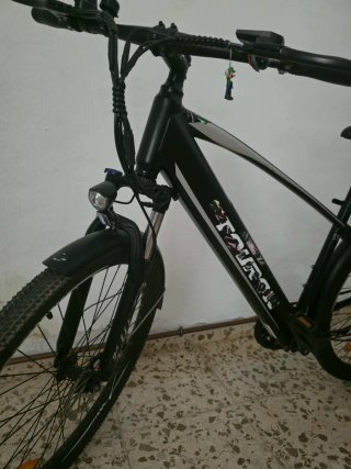 Bicicleta eléctrica con asistencia de pedaleo