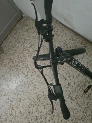 Bicicleta eléctrica con asistencia de pedaleo