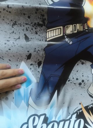 Póster My Hero Academia Shoto Reversible