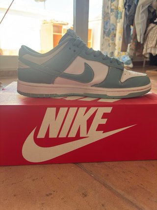Nike Dunk Low Azul y Blanco