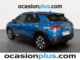 Citroen C4 Cactus BlueHDi 100 S&S Shine 73 kW (100 CV)