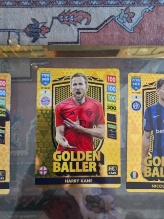 Set Fifa 365 Album 2025