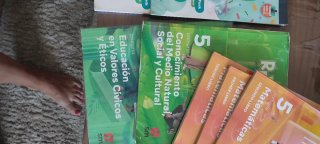 Lote Libros 5 Primaria Sm, Oxford, Casals