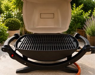 Barbacoa Weber Q200 Gas + Carro