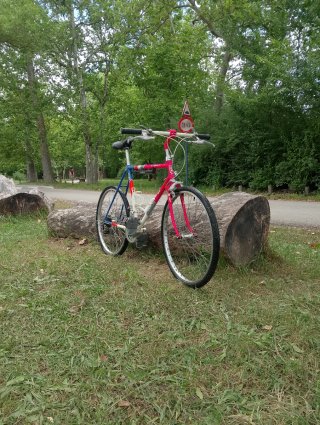 Bicicleta de montaña vintage