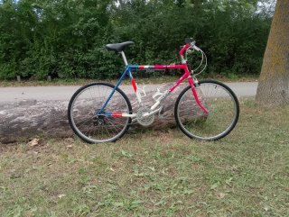 Bicicleta de montaña vintage