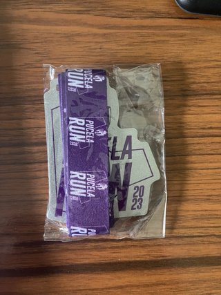 Medalla Pucela Run 2023