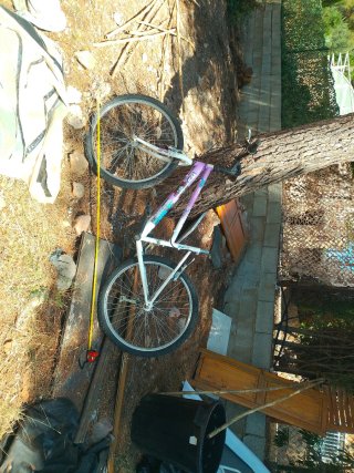 Bicicleta  morada y blanca