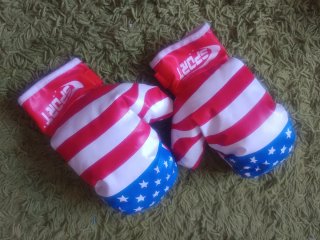 Juego boxeo y regalo guantes