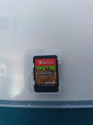 Nintendo Switch con accessori e schedina Minecraft