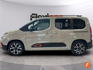 Citroën Berlingo Talla M BlueHDi 100 SHINE