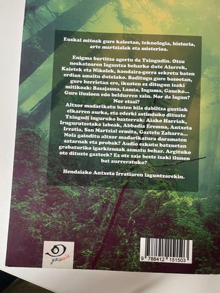 Txingudiko abentura sinesgaitza (Basajauna eta ...