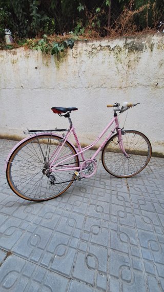 Bicicleta de paseo