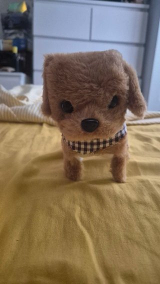Dos perritos pequeños interactivo