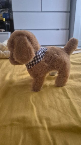 Dos perritos pequeños interactivo
