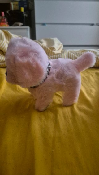 Dos perritos pequeños interactivo