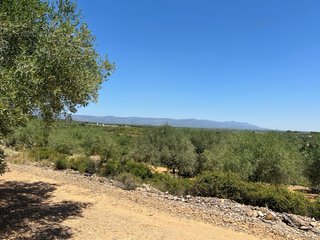 Finca en venta traiguera