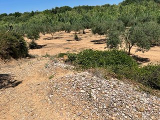 Finca en venta traiguera