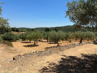 Finca en venta traiguera