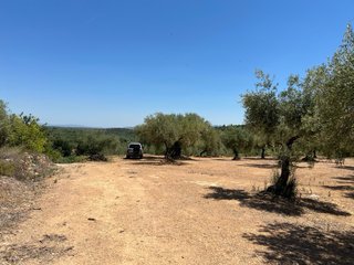 Finca en venta traiguera