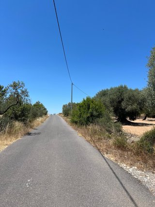 Finca en venta traiguera