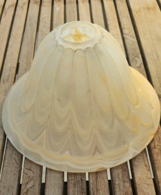 Pareja tulipas opalinas