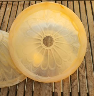 Pareja tulipas opalinas