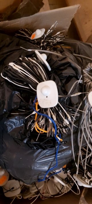 Lotes de 10000 unidades etiquetas de seguridad par