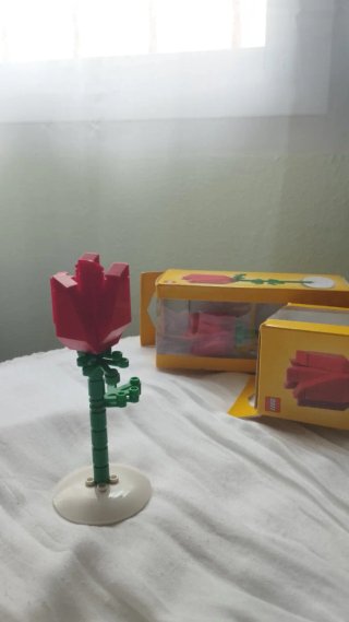 Rosa Lego