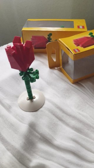 Rosa Lego