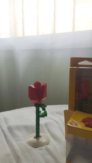 Rosa Lego